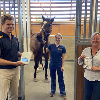 (L-R) UQ's Prof. Ben Ahern with a LAMP Genie III diagnostic machine, veterinary nurse Gabriella Doxey with horse Cartouche and veterinary researcher Lyndal Hulse holding the Hendra diagnostic sampling kit.